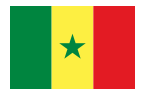 Drapeau Sénégal