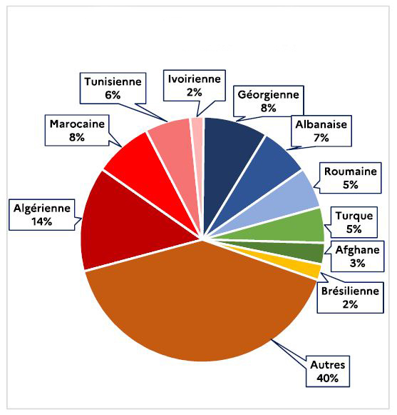 1.5. Répartition par nationalité des éloignements réalisés en 2024