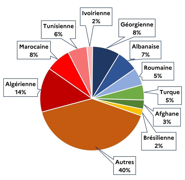 1.5. Répartition par nationalité des éloignements réalisés en 2024