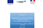 Les bénéficiaires de la protection internationale qui voyagent dans leur pays d’origine : défis, politiques et pratiques en France 