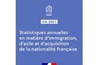 Illustration Statistiques annuelles DSED