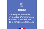 Illustration Statistiques annuelles DSED