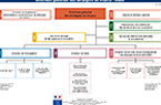 Organigramme de la DGEF Organigramme de la DGEF
