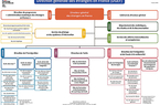 Organigramme de la DGEF Organigramme de la DGEF